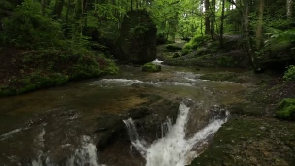 RAW Filmación - Scheidegger Cascadas, Allgaeu, sur de Alemania, Baviera — Vídeo de stock