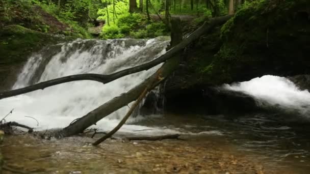 RAW Footage - Scheidegger Waterfalls, Allgaeu, southern Germany, Bavaria — Stock Video