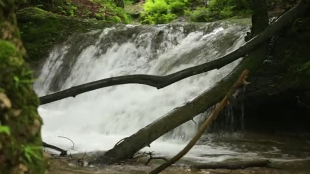 RAW Footage - Scheidegger Waterfalls, Allgaeu, southern Germany, Bavaria — 비디오