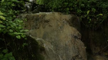 Ormanda küçük bir şelale