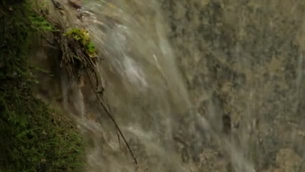 Kleiner Wasserfall im Wald — Stockvideo