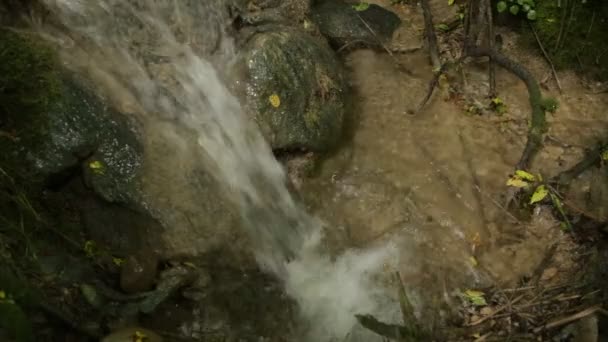 Невеликий водоспад у лісі — стокове відео