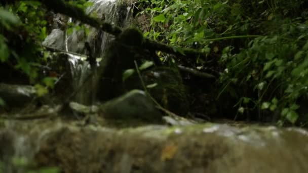 Μικρός καταρράκτης σε ένα δάσος — Αρχείο Βίντεο
