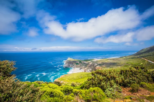 Cape Point pohled — Stock fotografie