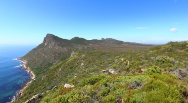 Cape yarımadası Güney Afrika
