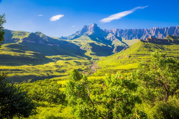Manzara, Güney Afrika — Stok fotoğraf