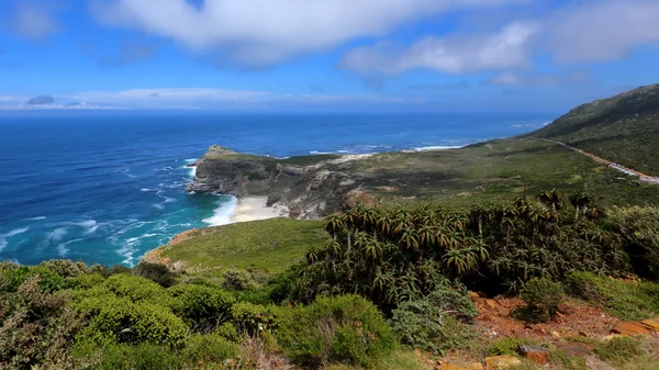 Cape Peninsula South Africa — Stock Photo, Image