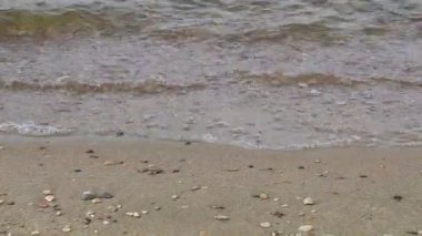 Bir gölün kıyısında kaydırma