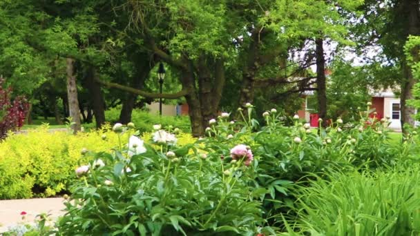 Rotes Backsteingebäude im Hintergrund eines Stadtparks — Stockvideo