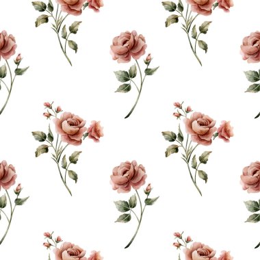 Beyaz arka planda yapraksız desenli güller. Tozlu pembe bahçeli Victoria çiçeği. Düğün tasarımı için suluboya el resmi. Tekstil kumaş kozmetik paketi.