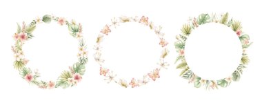 Tropikal Exptic Yaprakları Kelebek Yusufçuk Çelenkleri. Suluboya el boyası yaz çiçekli pastel nötr çizim beyaz arka planda çocuk doğum kartı logosu için izole edilmiş