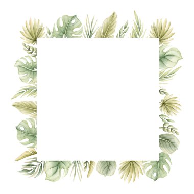 Canavar Palmiye Dalları Tropik Egzotik Yeşil Bitkiler Çerçevesi Yapıyor. Suluboya elle boyanmış yaz pastel nötr çizim beyaz arka planda çocuk odası çocukları için bebek kartı logosu şablonu