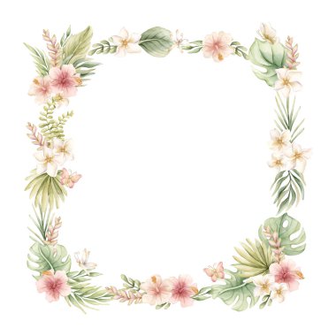 Monstera Palm Hibiscus Plumeria Çiçekleri 'nden ayrılıyor. Tropik egzotik bir yapı. Suluboya elle boyanmış yaz pastel nötr çizim beyaz arka planda çocuk doğum kartı logosu etiketi