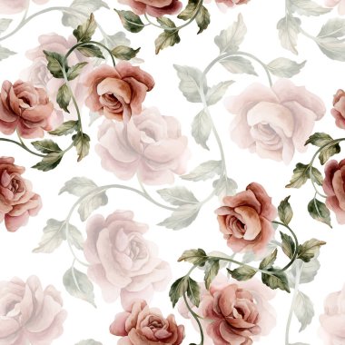 Beyaz arka planda yapraksız desenli güller. Tozlu pembe bahçeli Victoria çiçeği. Düğün tasarımı için suluboya el resmi. Tekstil kumaş kozmetik paketi.