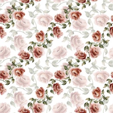 Beyaz arka planda yapraksız desenli güller. Tozlu pembe bahçeli Victoria çiçeği. Düğün tasarımı için suluboya el resmi. Tekstil kumaş kozmetik paketi.