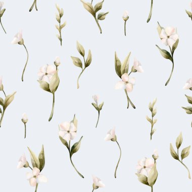 Yaprakları pürüzsüz beyaz küçük çiçekler. Yasemin, portakal, elma çiçeği. Düğün tasarımı için suluboya el resmi. Tekstil kozmetik ambalaj kağıdı.