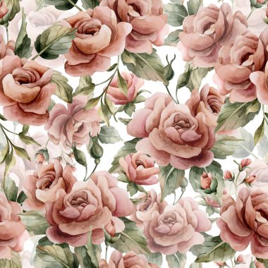 Beyaz arka planda yapraksız desenli güller. Tozlu pembe bahçeli Victoria çiçeği. Düğün tasarımı için suluboya el resmi. Tekstil kumaş kozmetik paketi.