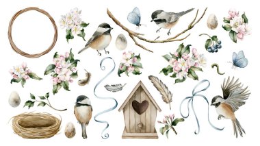 Chickadee Birdhouse Yuvası Elma Çiçeği Seti. Paskalya Dekorasyonu için beyaz arka planda izole edilmiş suluboya el çizimi Cottagecore kırsal kart poster posterleri kırsal ev tekstili