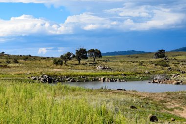 Göl Jindabyne suların çekildiği kıyı Avustralya