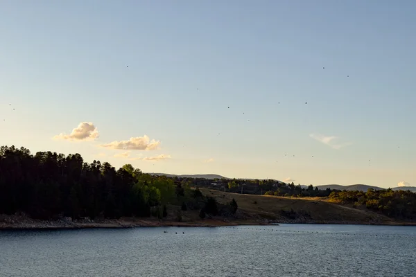 Kleine Vögel fliegen über den Jindabyne-See und die umliegenden Berge — Stockfoto