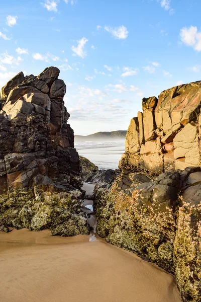 Australian beach coastline at 'Delicate Nobby' — Stockfoto