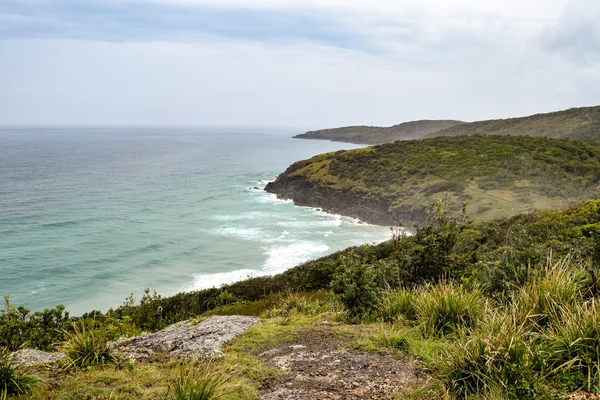 Australian beach coastline at 'Hat Head' — стокове фото