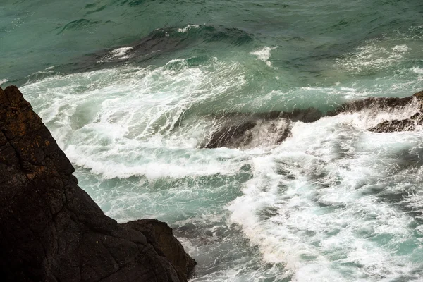 Australian coastline at 'Hat Head' — Stock Photo, Image