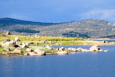 Lake Jindabyne foreshore in Australia clipart