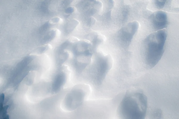 Snow Art: Close up of natural snow formations — Stock Photo, Image