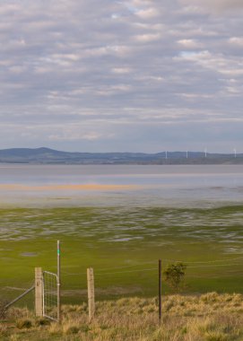 Yarısı boş George gölünde tarım arazileri ve bir rüzgar çiftliği arasında