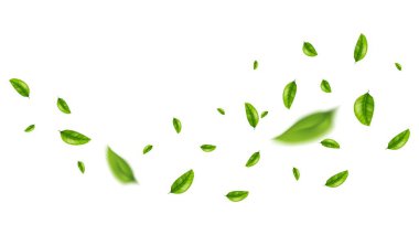 yeşil yaprak uçan vektör arkaplanı