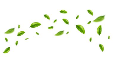 yeşil yaprak uçan vektör arkaplanı
