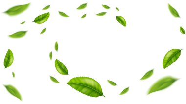 yeşil yaprak uçan vektör arkaplanı