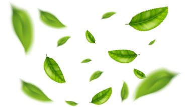 yeşil yaprak uçan vektör arkaplanı