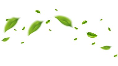 yeşil yaprak uçan vektör arkaplanı