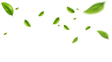 yeşil yaprak uçan vektör arkaplanı