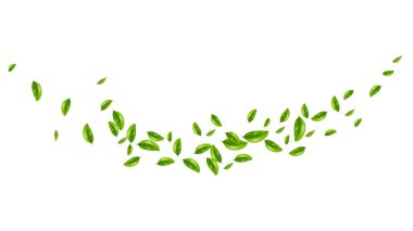 yeşil yaprak uçan vektör arkaplanı