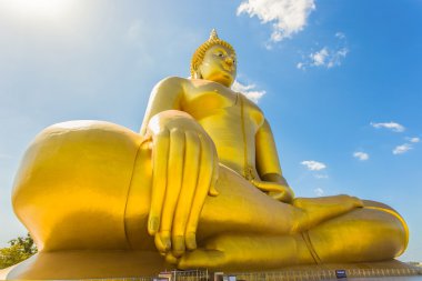 Büyük Buda heykeli Wat Muang, Tayland 'da 