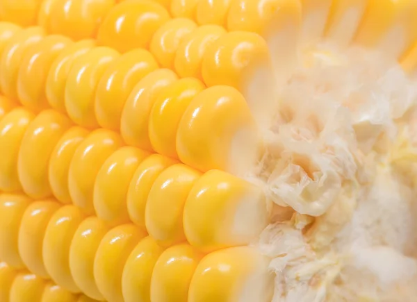 Closeup delicious corn — Stock Photo, Image