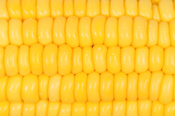 Grains of raw Corn — Stock Photo, Image