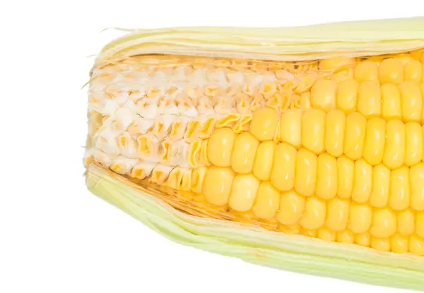 Raw corn sweet isolated — Stock Photo, Image