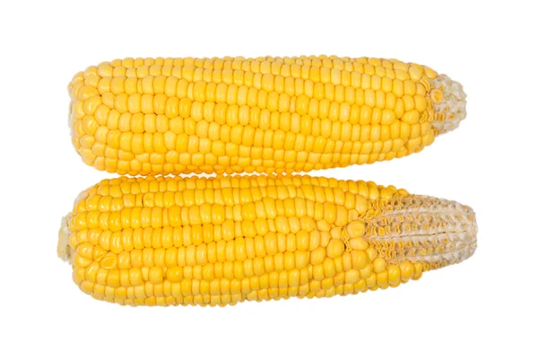 Corn group  isolated — Stock Photo, Image