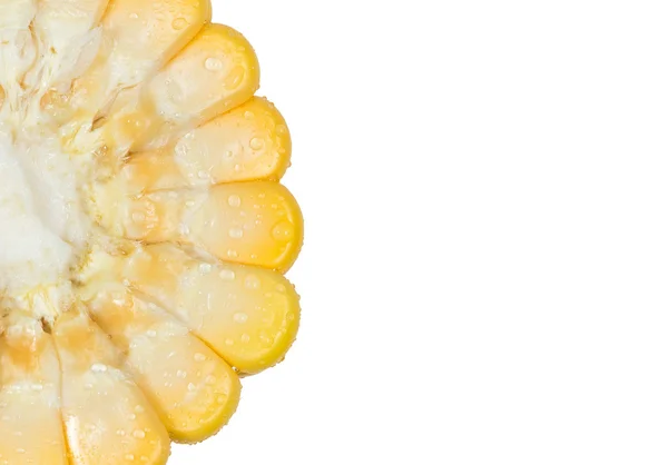 Капли воды на кукурузу — стоковое фото