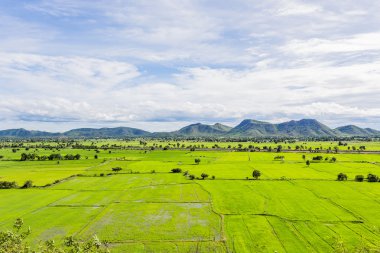 Yeşil manzara Tayland