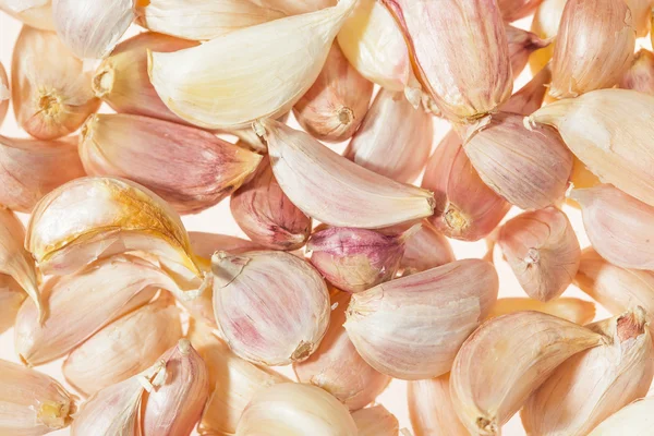 Seed garlic isoleted in kitchen — Stock Photo, Image