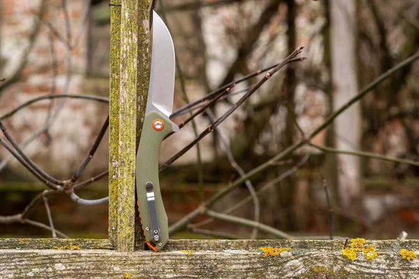 Cuchillo Con Una Hoja Ondulada Marco Ventana Foto Cuchillo Naturaleza — Foto de Stock