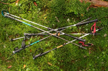 Yosun üzerinde bir sürü yürüyüş direği var. Dağlarda yürüyüş için sopalardan soyutlama. Üst.