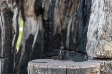 Kömürleşmiş ahşap arka planda dur. Yanmış ahşap bir arka planda bir kütük.