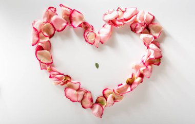 Kırmızı gül yapraklarının kalbi. Kalıplı gül yaprakları ve sert gölgeler. Üst.