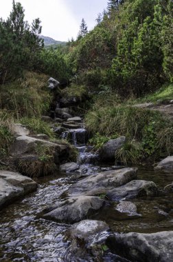 Dağ nehri. Dağlarda su içmek. Doğada su kaynağı. Dikey çerçeve.